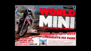 World Mini Mesquite MX