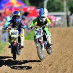 20 T Mollett '15_11_23_2015_2