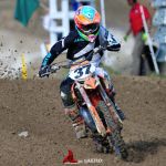 37 Gibbs_11_28_2015_12