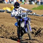 961 Taft_11_23_2015_14