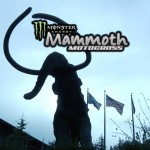 14 mammoth-poster